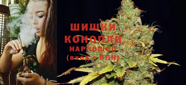 прущие крисы Бородино