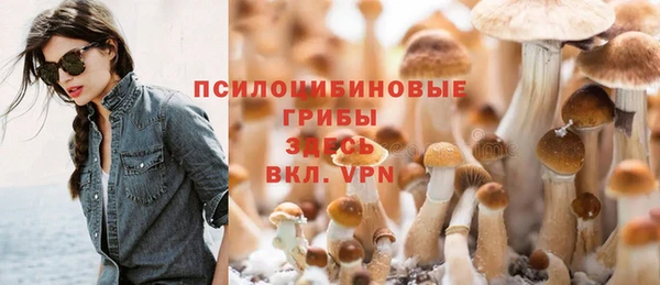 дмт Бронницы