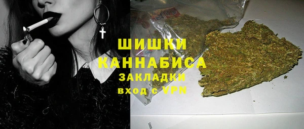 прущие крисы Бородино