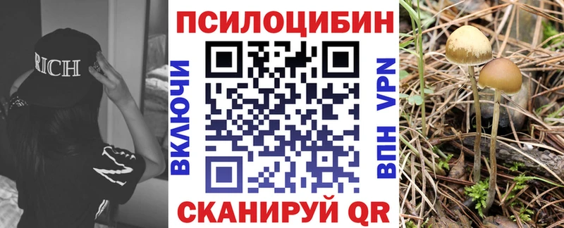 Галлюциногенные грибы Psilocybine cubensis  Нижний Новгород 